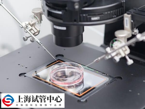 非医学需要的胎儿性别选择是被禁止的